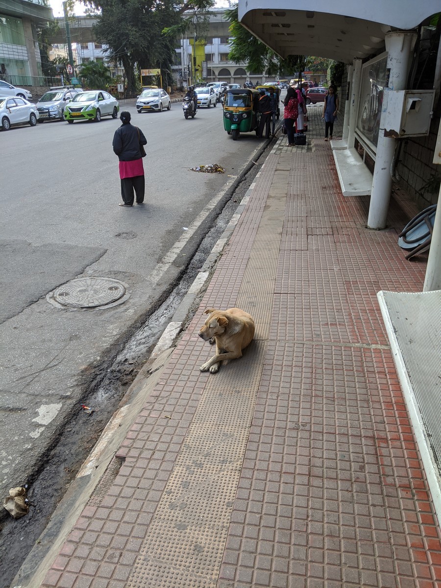 f:id:ymotongpoo:20191204084935j:plain