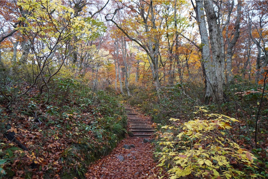 f:id:ymsk777:20201130001108j:image