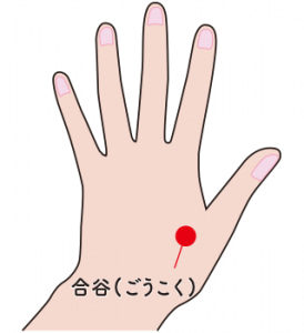f:id:yn4416:20190501234903j:plain f:id:yn4416:20190501234903j:plain