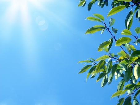 f:id:yn4416:20190529233730j:plain f:id:yn4416:20190529233730j:plain
