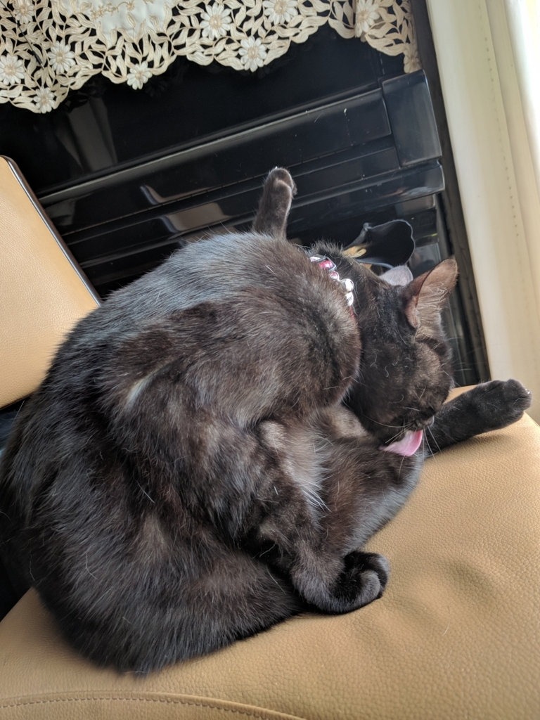 f:id:yn_musu:20180408135647j:plain f:id:yn_musu:20180408135647j:plain