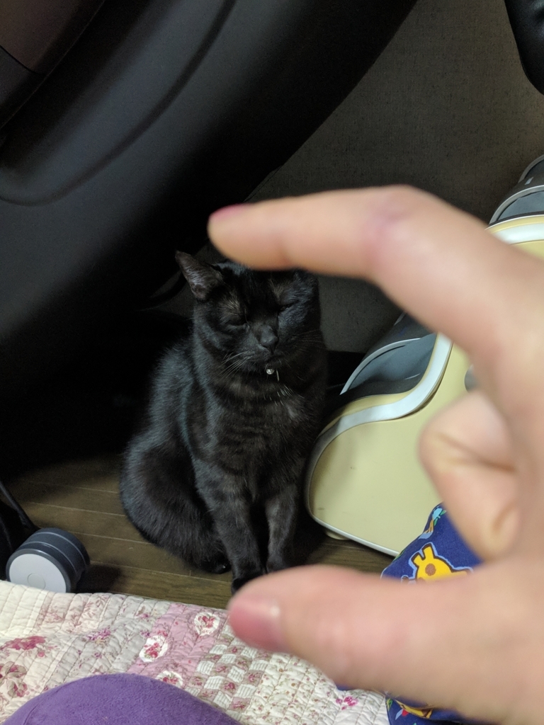 f:id:yn_musu:20180430112409j:plain f:id:yn_musu:20180430112409j:plain