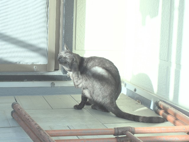 f:id:yn_musu:20230302180350j:image f:id:yn_musu:20230302180350j:image
