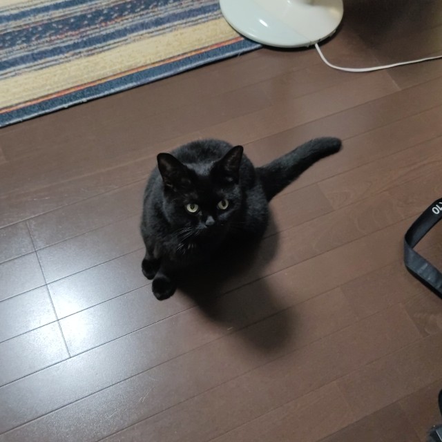 f:id:yn_musu:20230907002846j:image f:id:yn_musu:20230907002846j:image