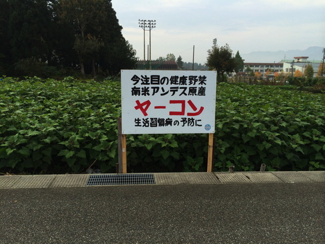 f:id:ynaito35:20131104160321j:image:w300 f:id:ynaito35:20131104160321j:image:w300