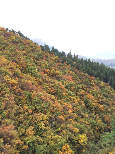 f:id:ynaito35:20131104160334j:image:h300 f:id:ynaito35:20131104160334j:image:h300