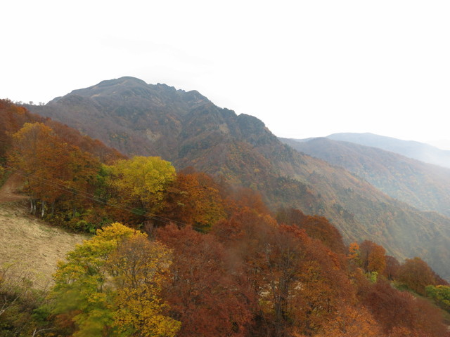 f:id:ynaito35:20131104160348j:image:w300 f:id:ynaito35:20131104160348j:image:w300