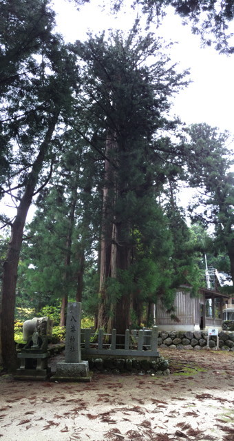 f:id:ynaito35:20131104160351j:image:h300 f:id:ynaito35:20131104160351j:image:h300