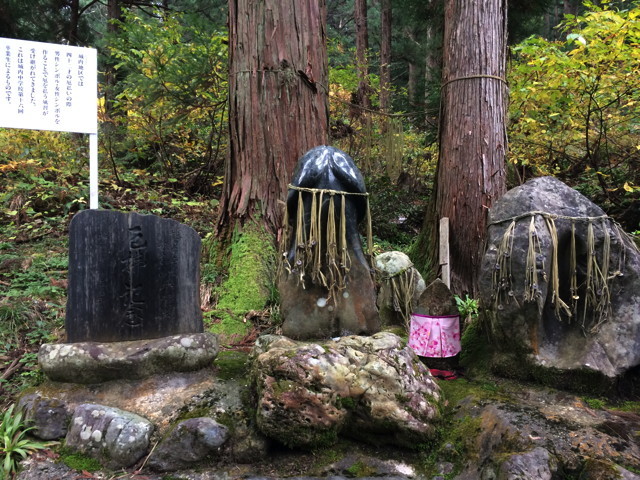 f:id:ynaito35:20131104160355j:image:w300 f:id:ynaito35:20131104160355j:image:w300