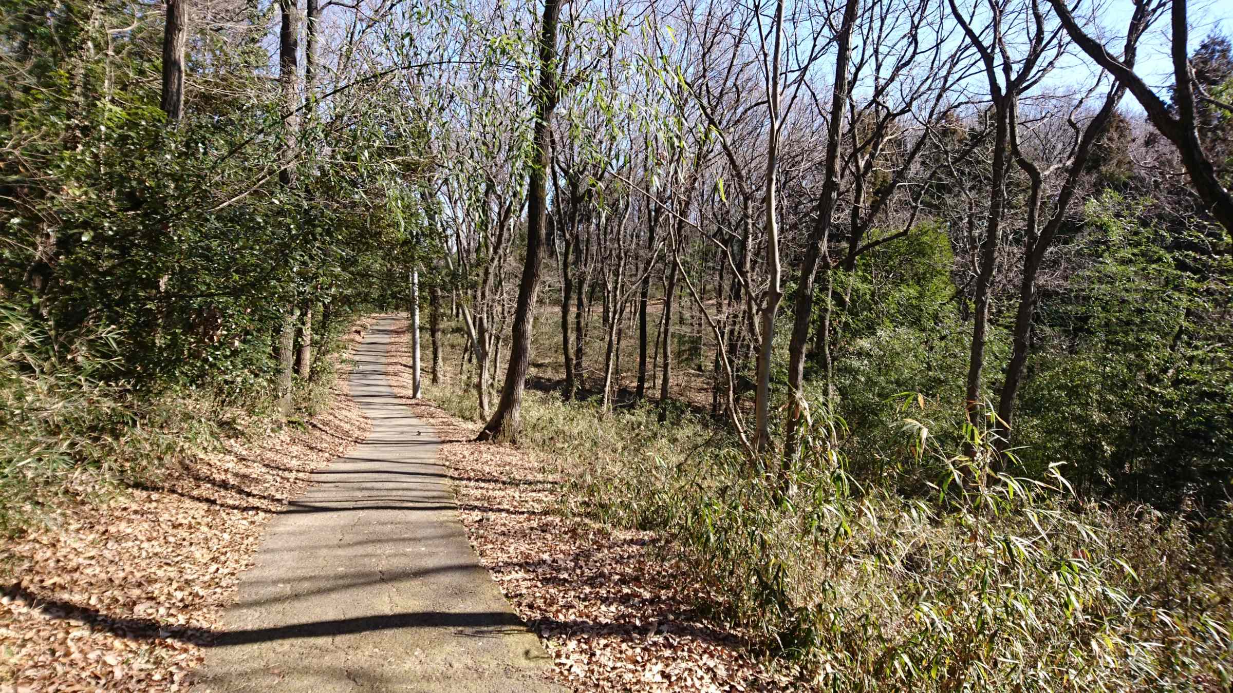 f:id:ynakayama27:20170203191333j:plain f:id:ynakayama27:20170203191333j:plain