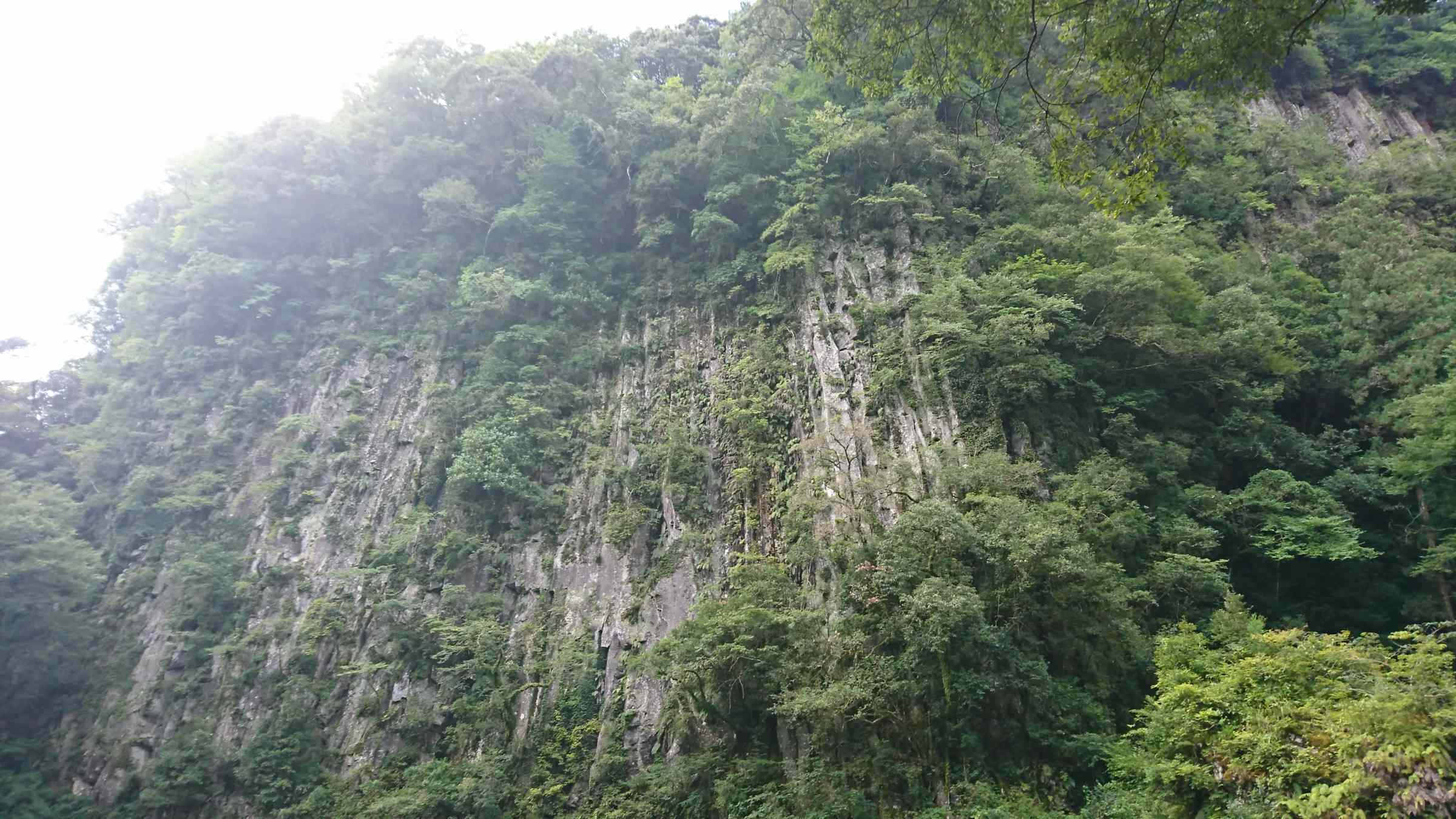 f:id:ynakayama27:20170821090725j:plain f:id:ynakayama27:20170821090725j:plain