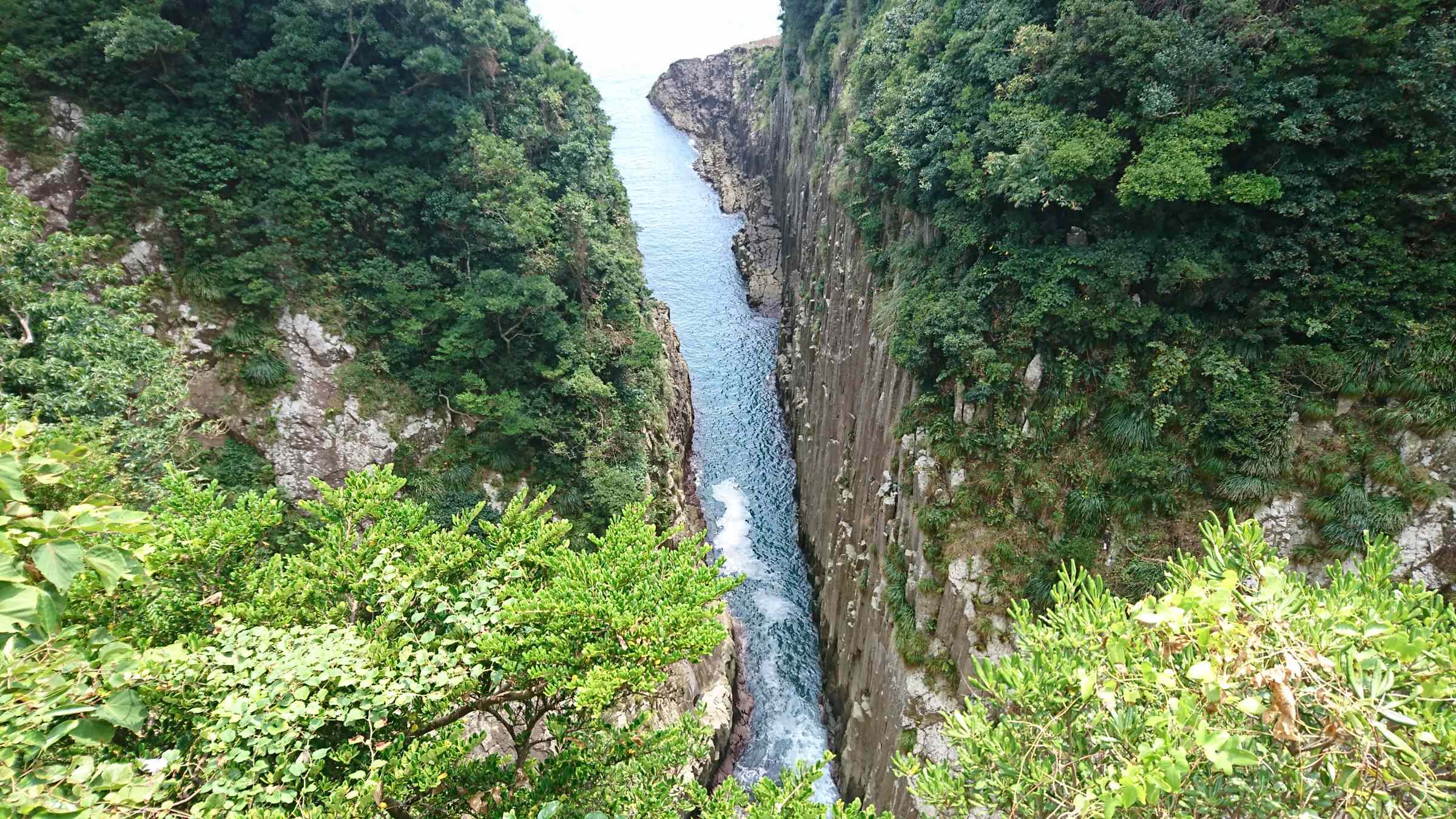 f:id:ynakayama27:20170821095657j:plain f:id:ynakayama27:20170821095657j:plain