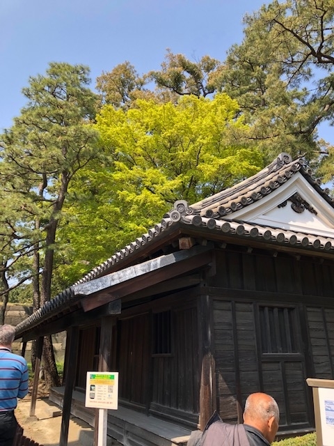 f:id:ynanako:20190327204452j:plain