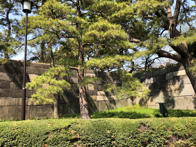 f:id:ynanako:20190327204514j:plain