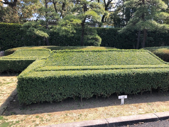 f:id:ynanako:20190327204638j:plain