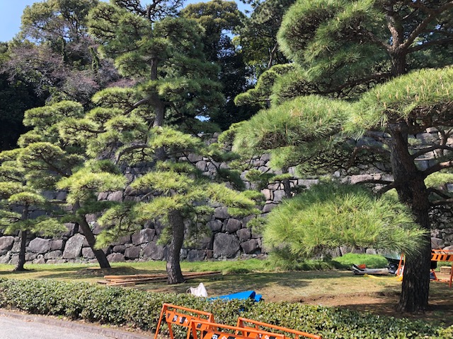 f:id:ynanako:20190327204859j:plain