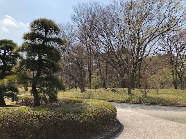 f:id:ynanako:20190327211358j:plain