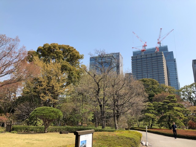 f:id:ynanako:20190327211944j:plain