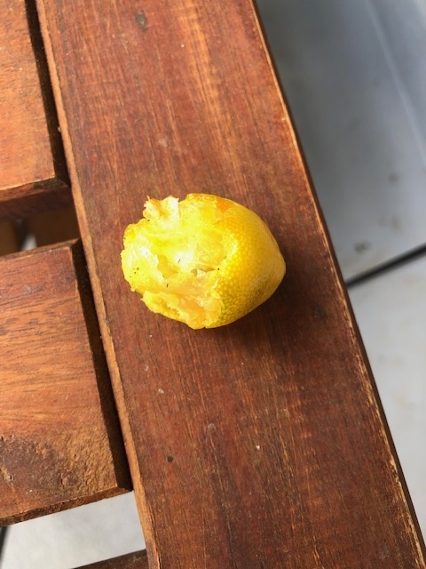 f:id:ynanako:20191202202436j:plain