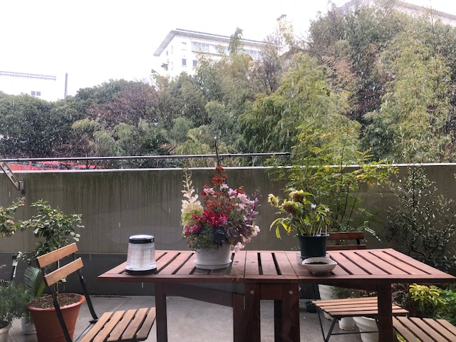 f:id:ynanako:20200314164851j:plain f:id:ynanako:20200314164851j:plain