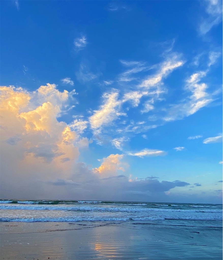 f:id:ync11:20211115204135j:image f:id:ync11:20211115204135j:image