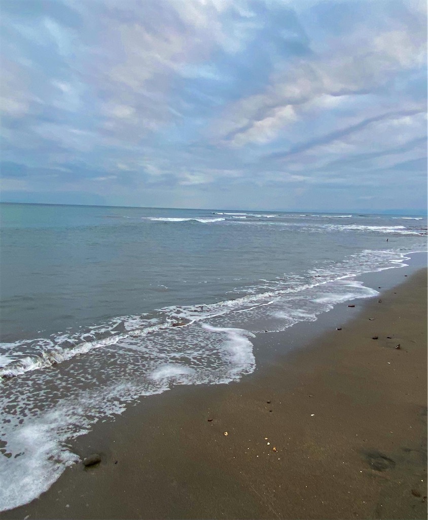 f:id:ync11:20211118162854j:image f:id:ync11:20211118162854j:image