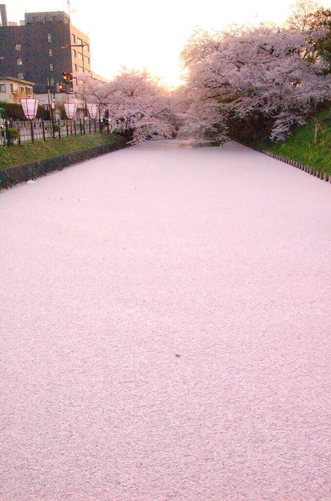 f:id:ynccc:20170217231306j:image f:id:ynccc:20170217231306j:image