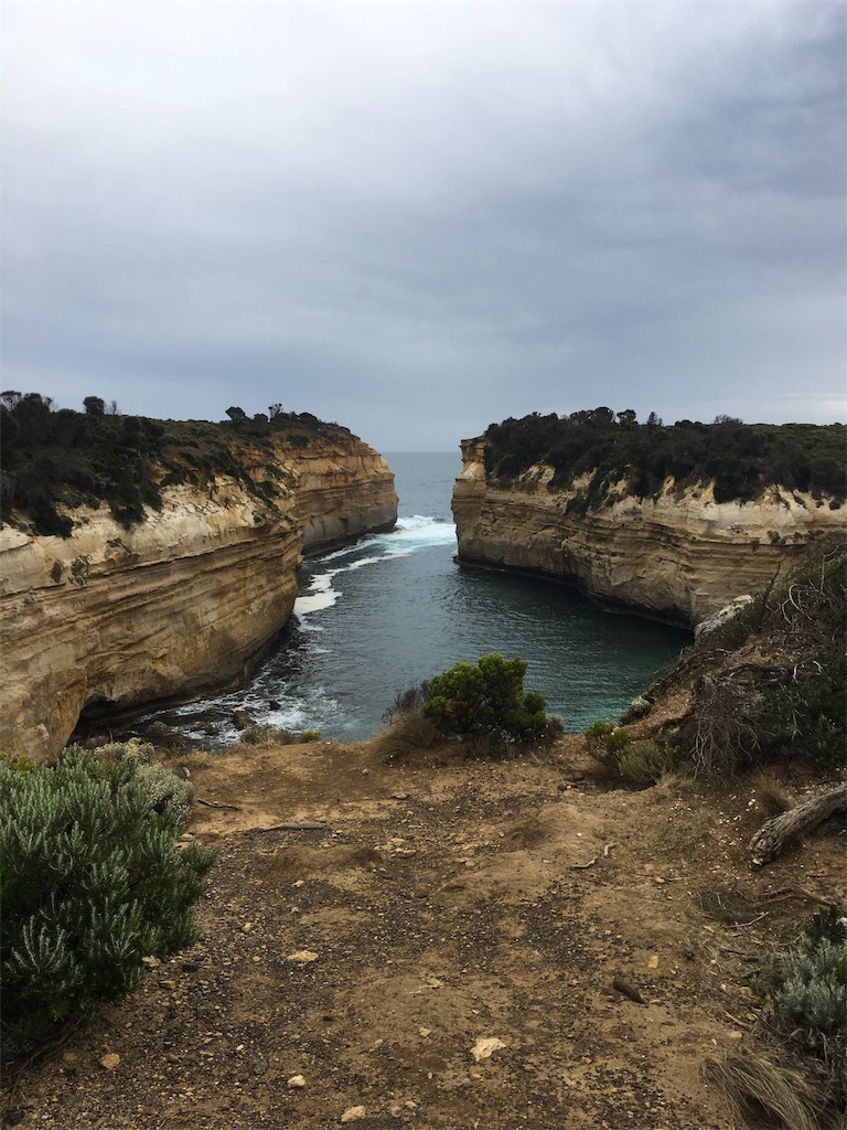 f:id:ynccc:20190121110934j:image f:id:ynccc:20190121110934j:image