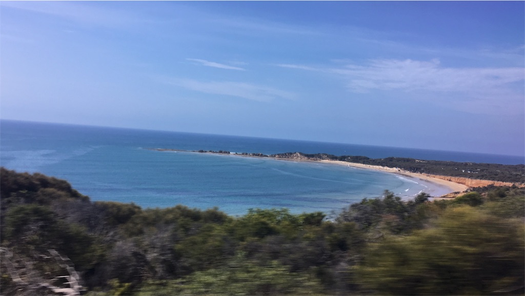 f:id:ynccc:20190121110946j:image f:id:ynccc:20190121110946j:image