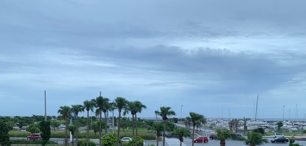 f:id:ynie:20190707212624j:plain