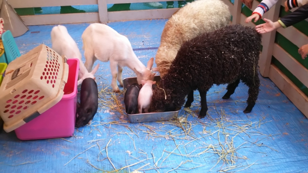 f:id:yo-ichi41:20171105235548j:plain