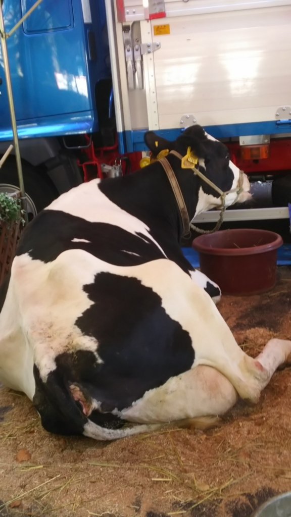 f:id:yo-ichi41:20171105235642j:plain