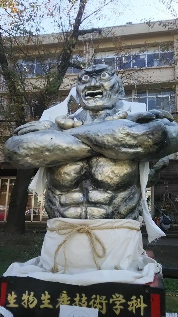 f:id:yo-ichi41:20171105235824j:plain