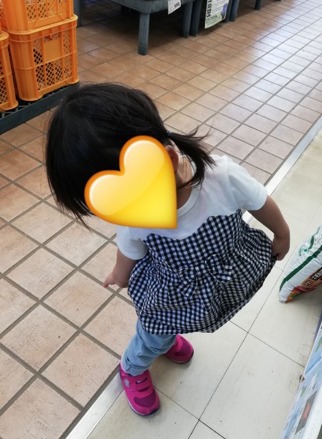 f:id:yo-lo:20180505194034j:plain f:id:yo-lo:20180505194034j:plain