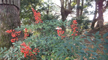 f:id:yo3519:20131211142451j:image
