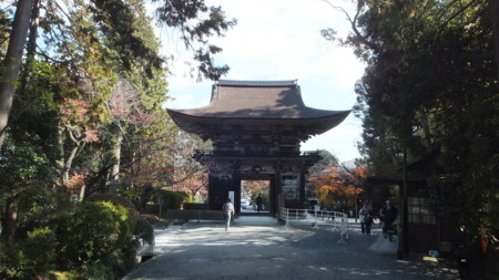 f:id:yo3519:20141125230811j:image