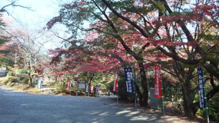 f:id:yo3519:20141125230952j:image
