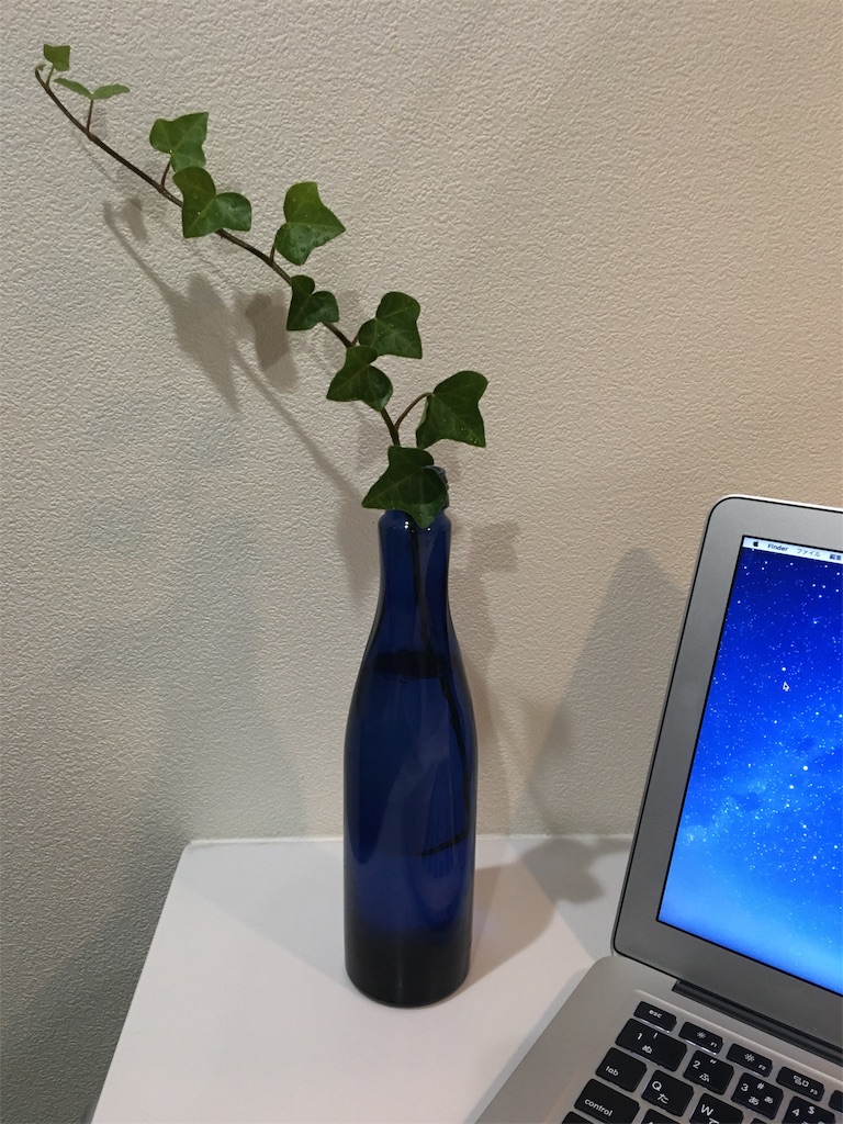 f:id:yo4e:20191112172923j:image f:id:yo4e:20191112172923j:image