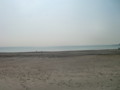 20100224115819