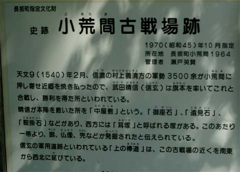 イメージ 3