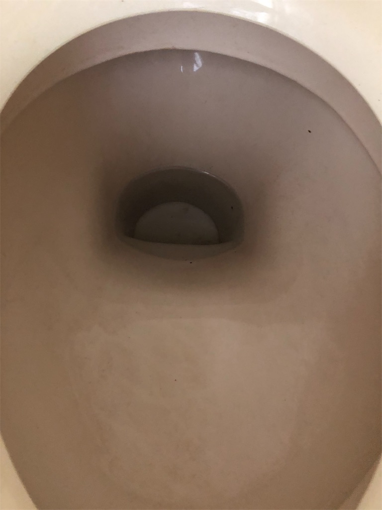 f:id:yo_ji39:20190425234204j:image