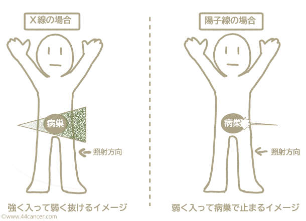 f:id:yo_kmr:20190818184222j:plain f:id:yo_kmr:20190818184222j:plain