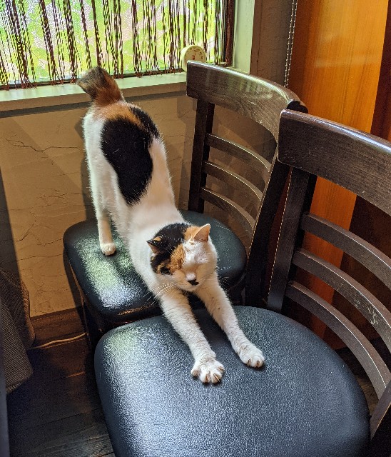 f:id:yo_ko63:20200818165531j:image