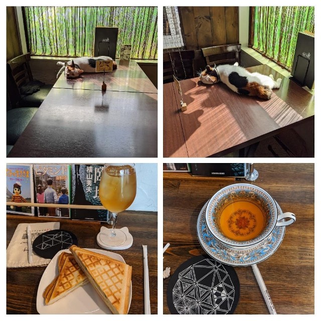 f:id:yo_ko63:20200826193703j:image