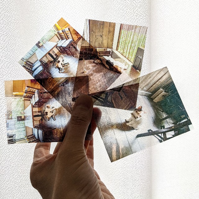 f:id:yo_ko63:20210415171225j:image