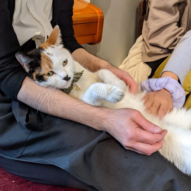 f:id:yo_ko63:20220116193707j:image