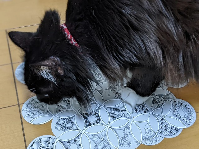 f:id:yo_ko63:20220331140832j:image