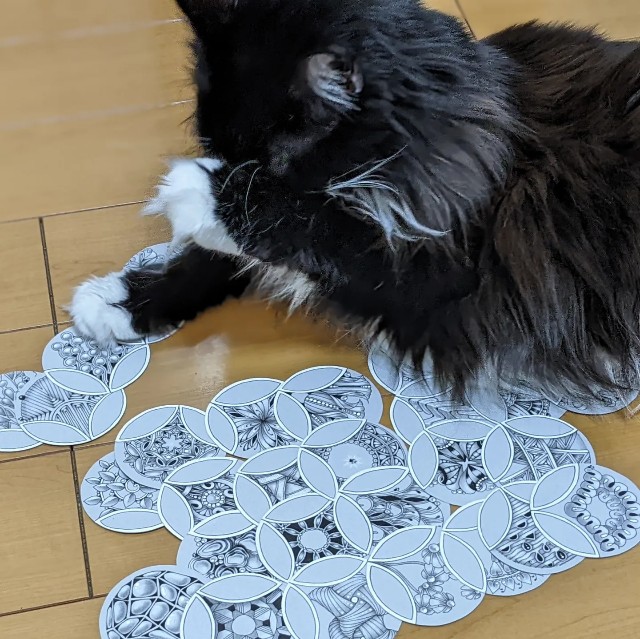 f:id:yo_ko63:20220331140840j:image