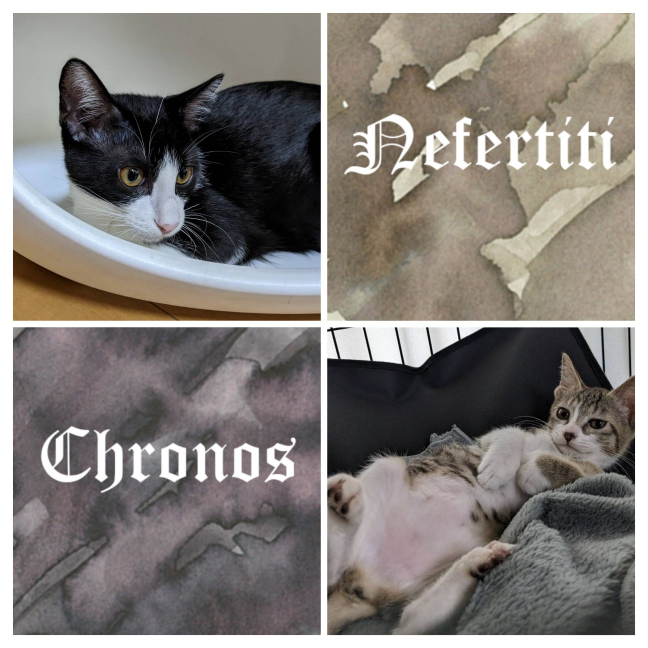 f:id:yo_ko63:20251224123856j:image