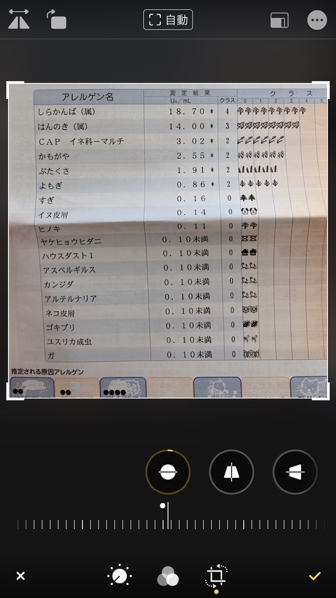 f:id:yo_la:20200919115737j:plain f:id:yo_la:20200919115737j:plain